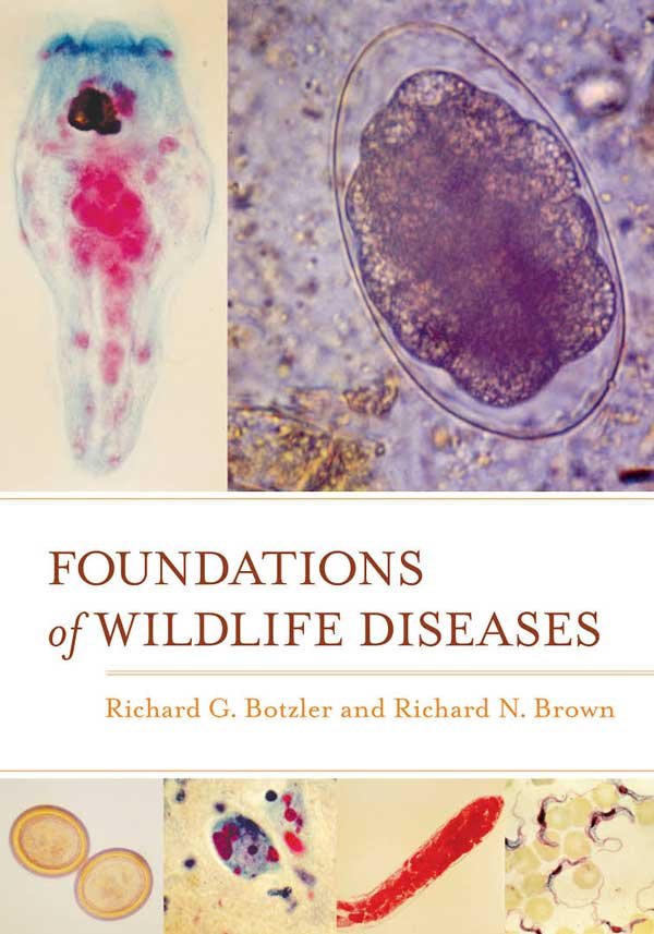 Foundations Of Wildlife Diseases
