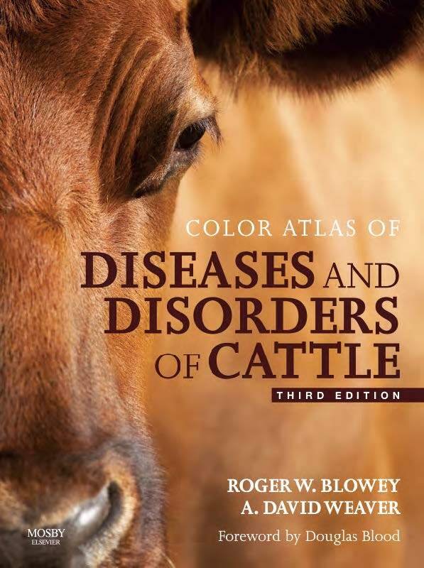 Color Atlas Of Diseases And Disorders Of Cattle 3rd Edition PDF