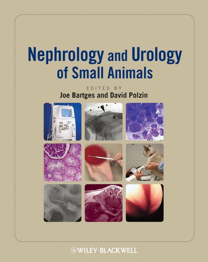 Nephrology And Urology Of Small Animals PDF