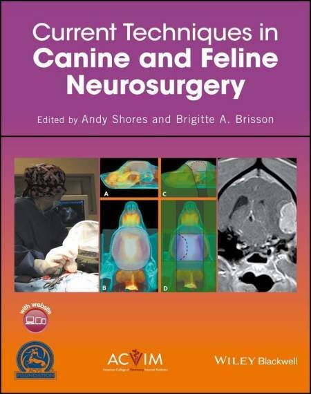 Current Techniques In Canine And Feline Neurosurgery