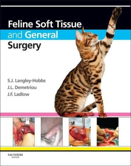 Feline Soft Tissue And General Surgery