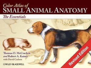 Wheater’s Functional Histology – A Text And Colour Atlas, 5th Edition PDF