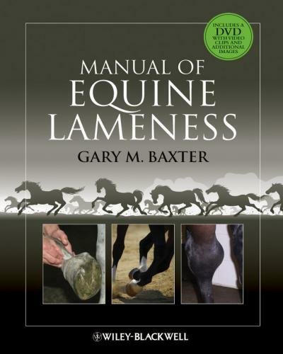 Manual of equine lameness