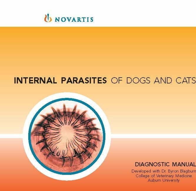Internal parasites dogs cats