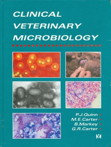 Clinical veterinary microbiology