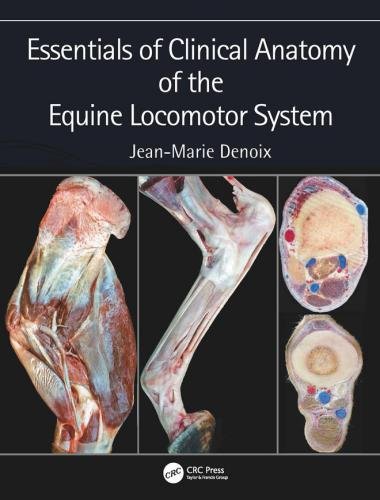 Essentials of clinical anatomy of the equine locomotor system