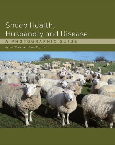 Sheep health, husbandry and disease