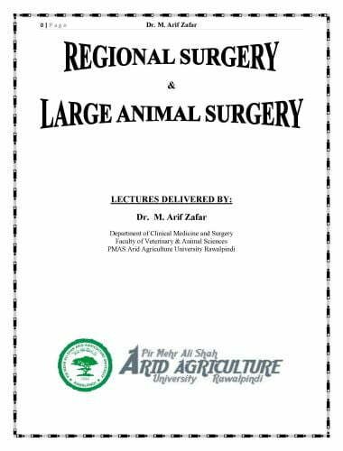 Regional surgery or large animal surgery