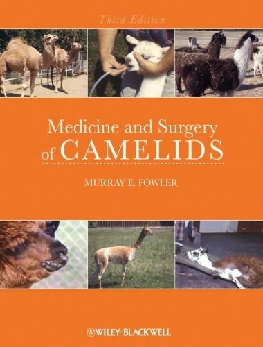 Medicine and surgery of camelids 3rd edition