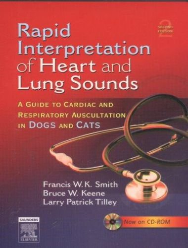 Rapid interpretation of heart and lung sounds