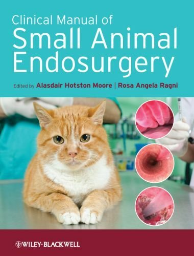 Clinical manual of small animal endosurgery