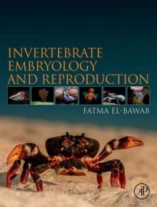 Invertebrate embryology and reproduction
