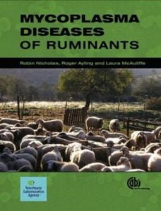 Mycoplasma diseases of ruminants