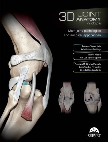 3d joint anatomy in dogs, main joint pathologies and surgical approaches