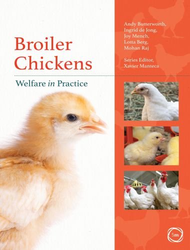 Broiler chickens welfare in practice
