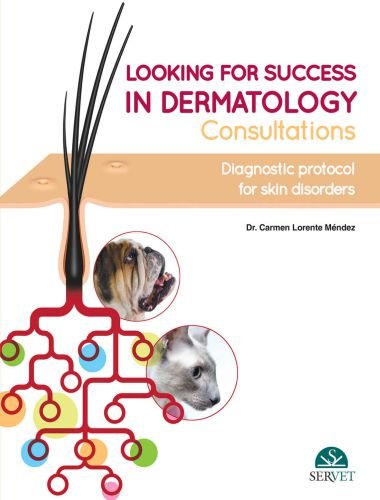 Looking for success in dermatology consultations, diagnostic protocol for skin disorders