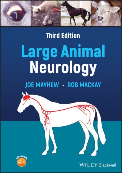 Large Animal Neurology 3rd Edition PDF
