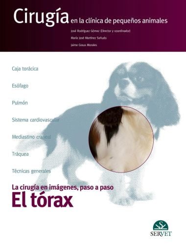 El tórax cirugía en la clínica de pequeños animales