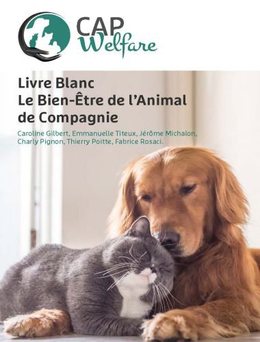 Livre blanc le bien Être de l’animal de compagnie