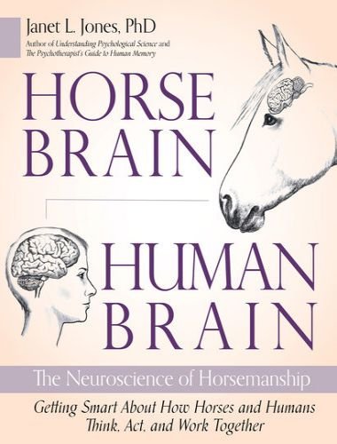 Horse brain, human brain the neuroscience of horsemanship