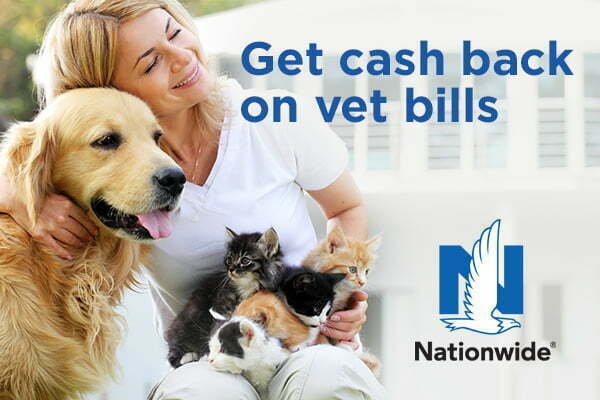 Top veterinary pet insurance companies