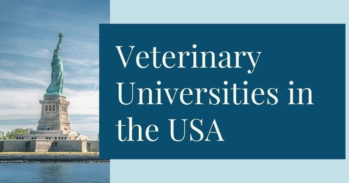 List of State Wise Veterinary Schools Colleges in United States