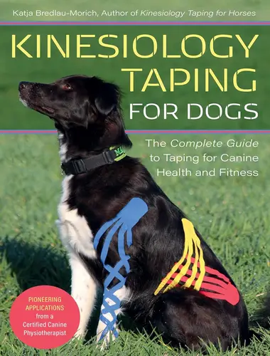 Kinesiology taping for dogs