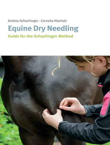 Equine dry needling guide for the schachinger method