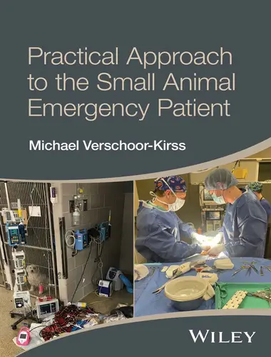 Practical approach to the small animal emergency patient